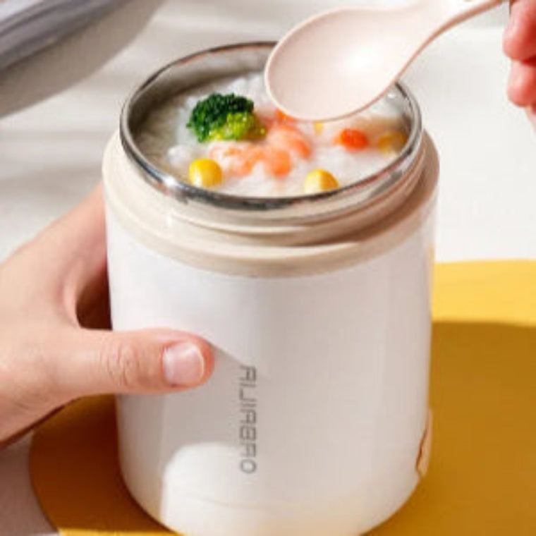 LunchBox Chauffante